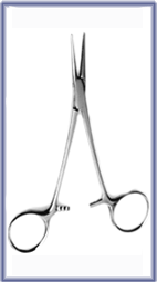 Mosquito Forceps Straight