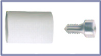 Temporary Abutment