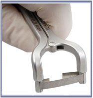 Posterior Instrument