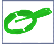 Masel DoubleGard Standard Green