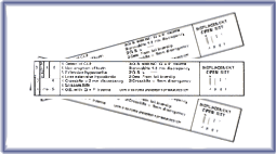 DHC Disposable Rulers Pack of 500*