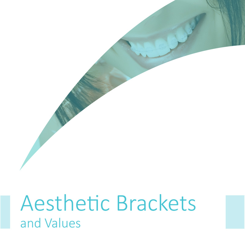 Aesthetic Brackets and Accessories
