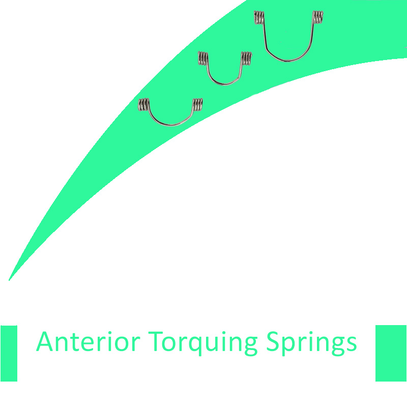 Anterior Torquing Springs