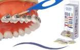 Intra-Oral Elastics