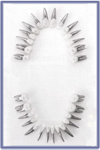 Anatomically Rooted Metal Teeth Set 28