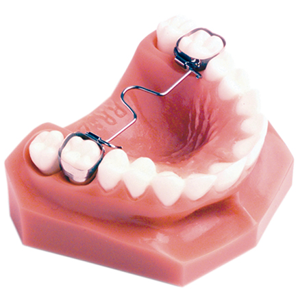 Palatal Arches 37mm