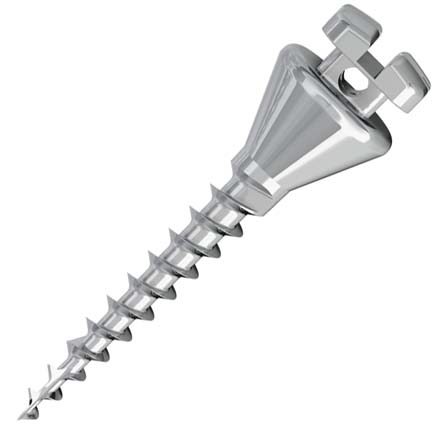 Mini Spider Screw Long Neck 1.5 X 10mm