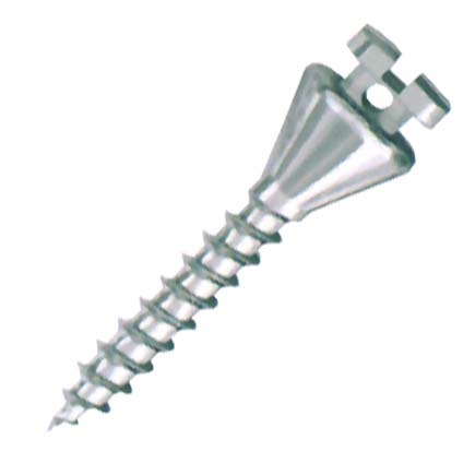 Mini Spider Screw Long Neck 1.5 X 10.0mm