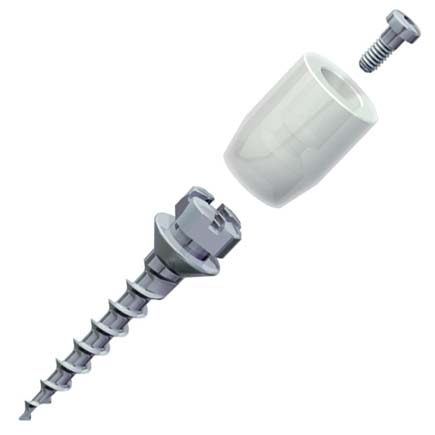 Spider Screw Original Regular for Abutment  2.0 x 7mm